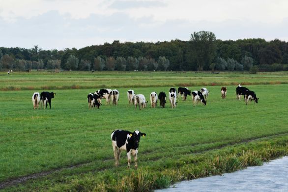 Besluit Ministerie over gewasrotatie en vruchtwisseling