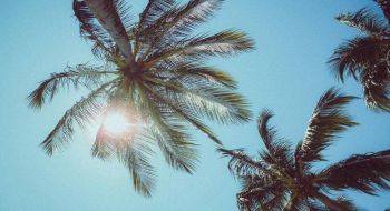 Opname en afboeken van vakantiedagen